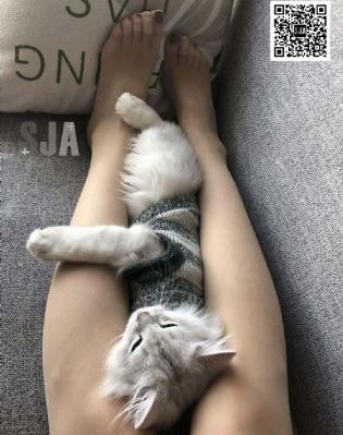 《爱与激情》_4K免费高清观看